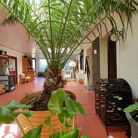 Tara´s B&B Ferienwohnung Langlingen Exterior foto